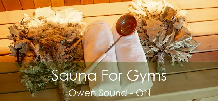  Sauna For Gyms Owen Sound - ON
