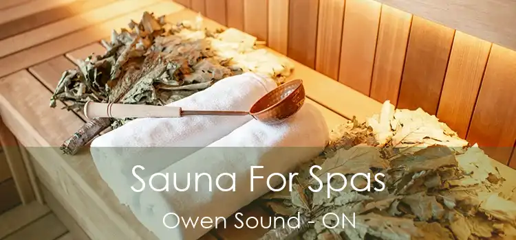  Sauna For Spas Owen Sound - ON
